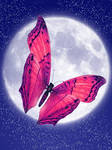 Moon and Butterfly
