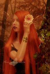 Orange Fairy