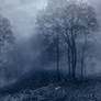 Premade Background 6
