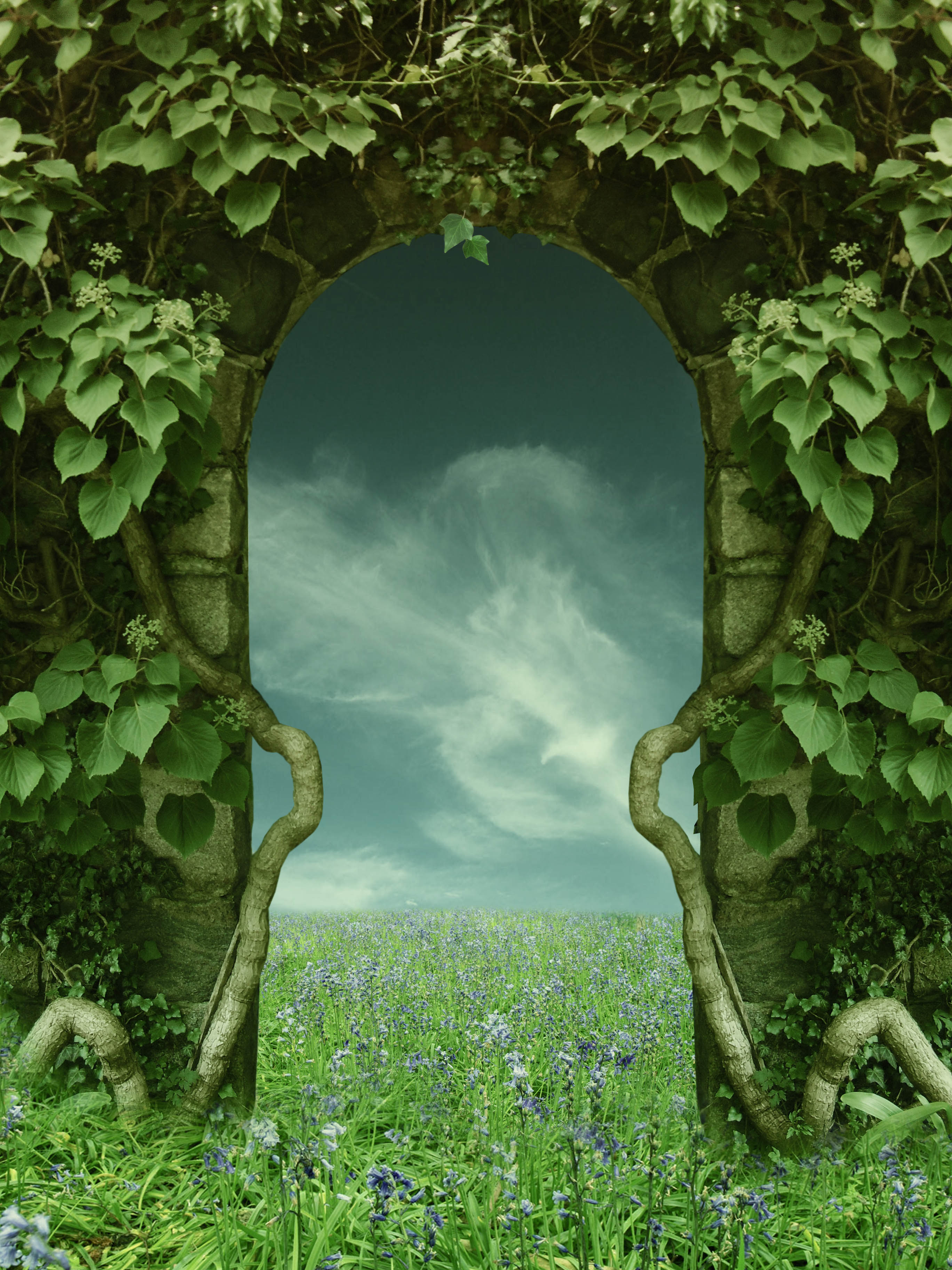 Premade Background 8