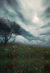 Premade Background 19