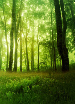 Premade Background 20