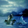 Mermaid Trapped