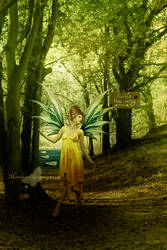 The Path Of Fairies