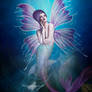 Mermaid Dreams