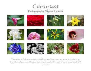 2008 Calendar