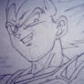 dragonball z: vegeta