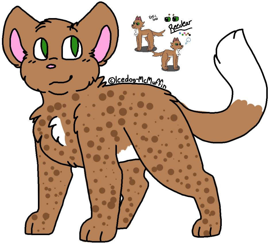 Deviantart Reedster Reedear by YugiMan627 on DeviantArt