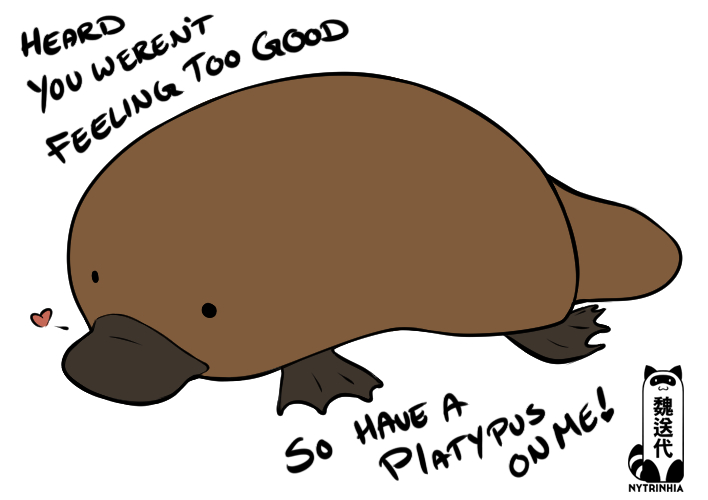 Platypus of Good Feels