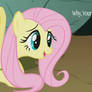 Fluttershy Has Never Seen A Cumblecore Before