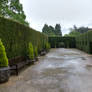 Dyffryn Gardens in the rain stock 8