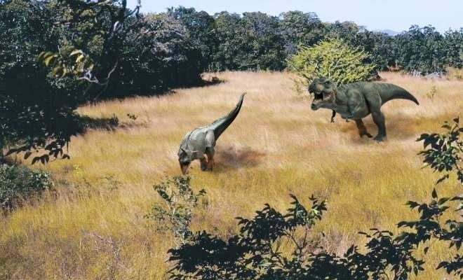 Carnotaurus Carnotaurus