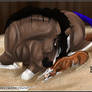BS Whytt -foal-