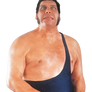 WWF Andre the Giant