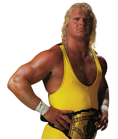 WWF Mr Perfect by FederationPhil on DeviantArt