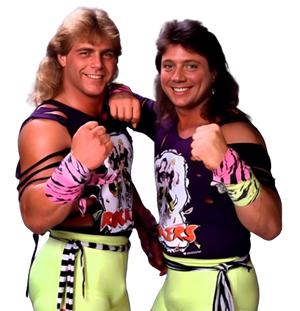 WWF The Rockers