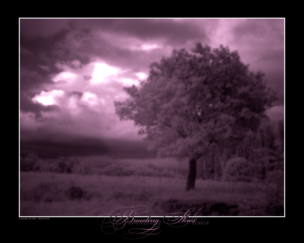 Brooding Skies