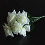 White Roses-black bg_stock