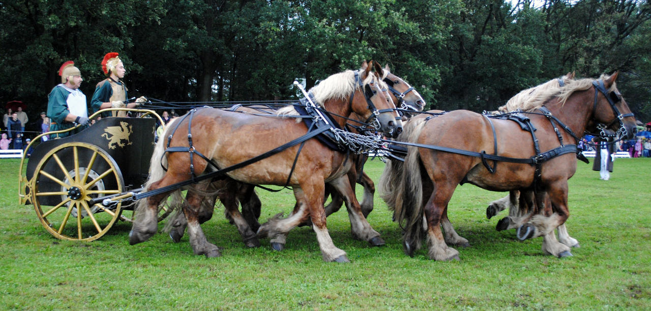 8 Times Horsepower Stock 06