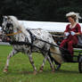 A Lady And Her Pony Cart 03