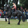 Pirate Princess On Friesian 01