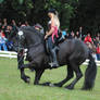 Pirate Princess On Friesian 02