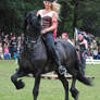 Pirate Princess On Friesian 04