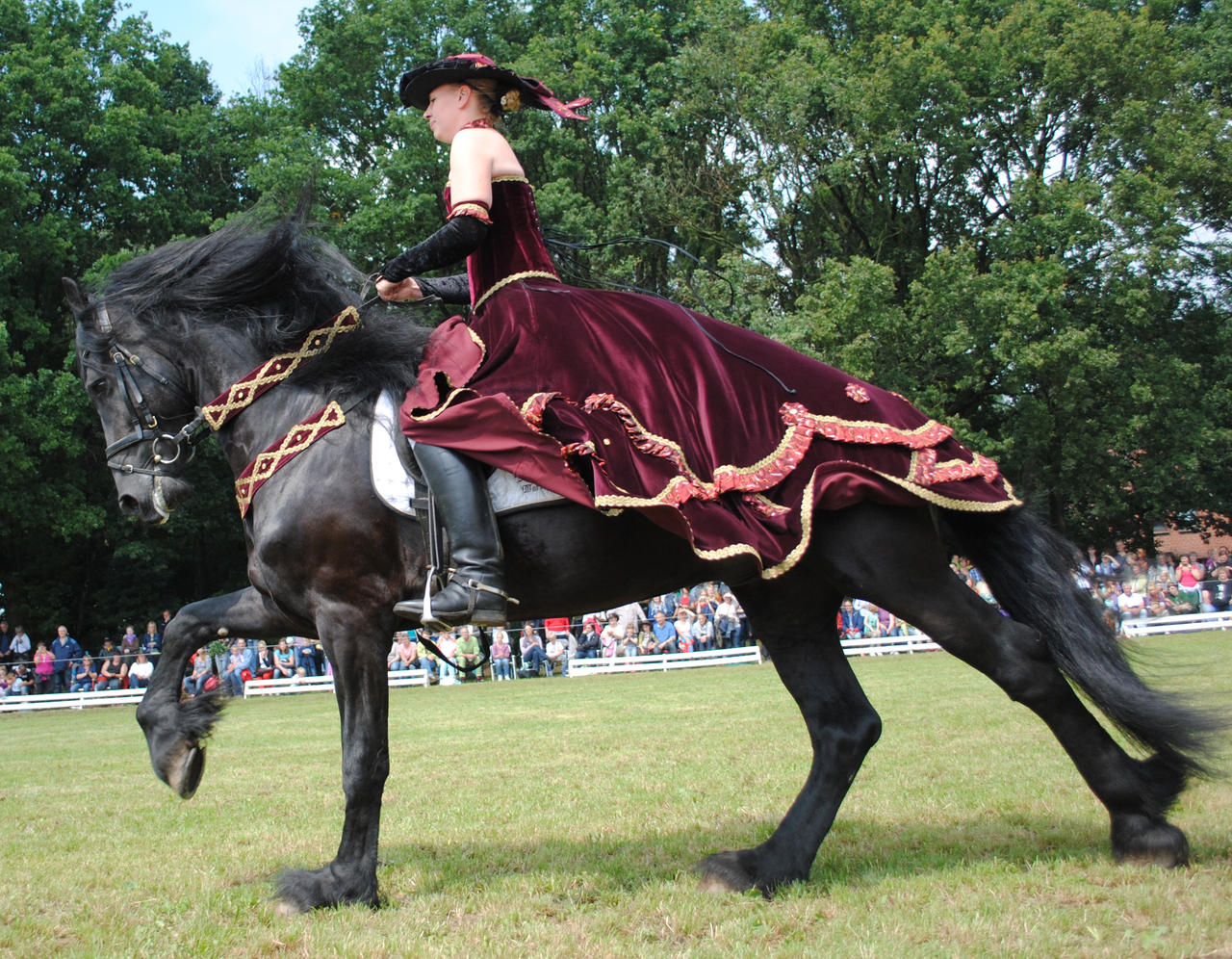 Ladies On Friesians 27