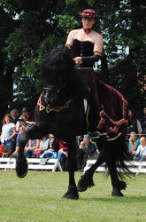 Ladies On Friesians 30