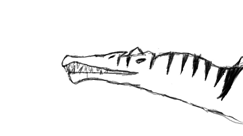 Old spinosaurus sketch