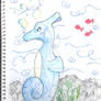 Seahorse