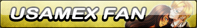 UsaMex Fan Button