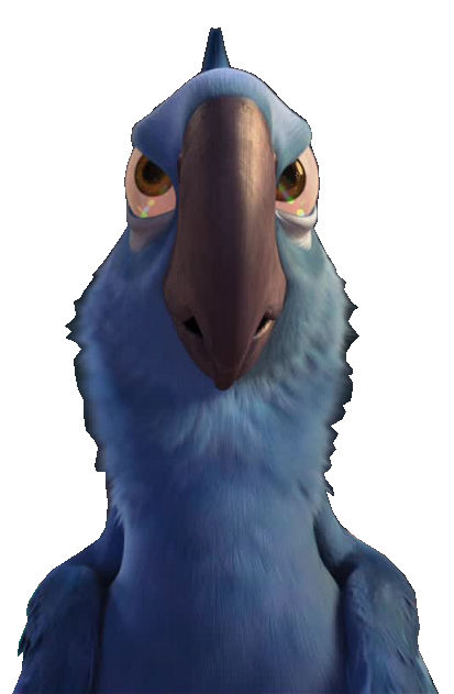 Rio movie render- Angry Blu by steeleaddict on DeviantArt