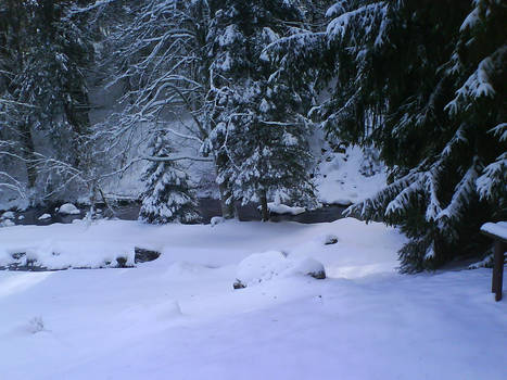 The Harz in Germany