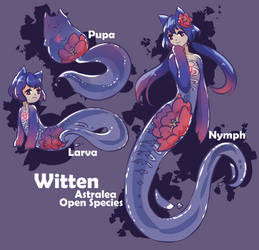 [Open species] Witten [Basic info]