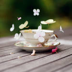 like dancing butterflies by LenaCramer