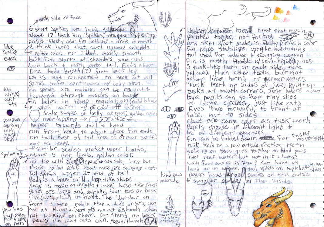 Character Annotation Notes Character Notes by Callia-Evergreen on DeviantArt