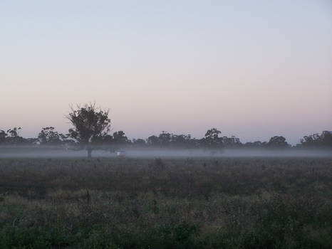 Sunrise through the mist 2