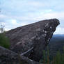 Forest Cliff Stock 4