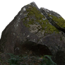 Jungle Boulder Precut