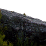 Cliff Precut 10