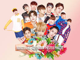 PNG #05 LIKE SEVENTEEN POSTER*13