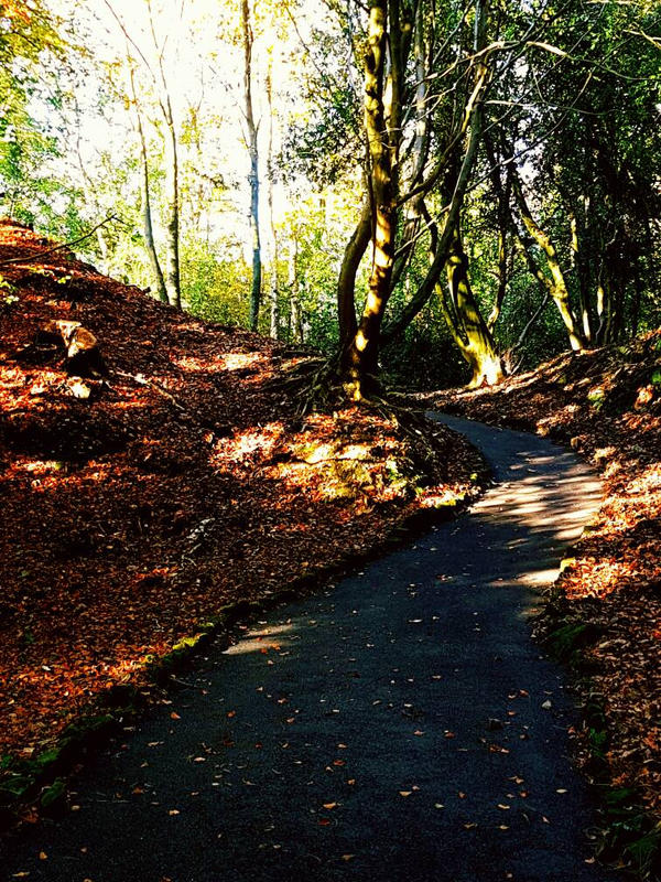 The winding path by ScripturaDeodata on DeviantArt