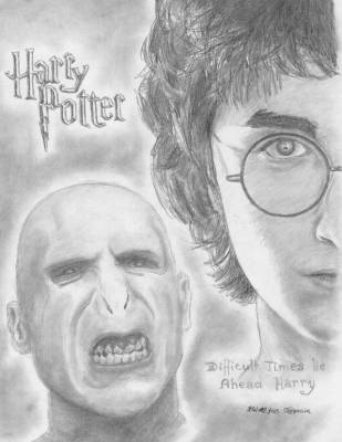 Harry vs Voldemort : battle