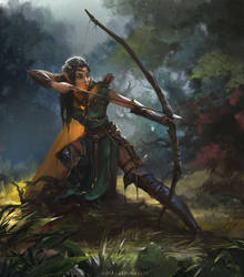 Elven Archer