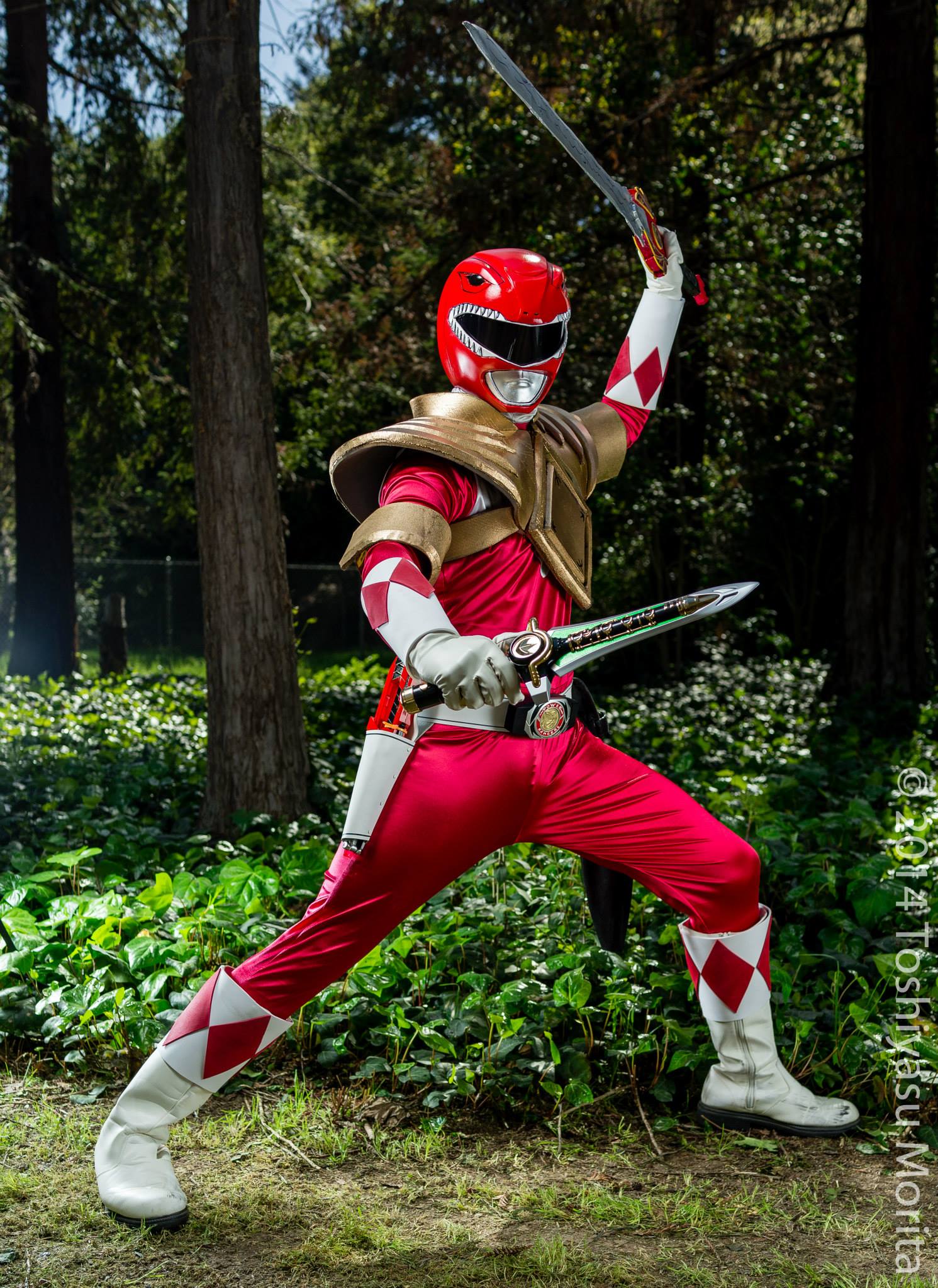 MMPR Red Ranger: Dragon Shield, Power Up! by effektdmentality on DeviantArt
