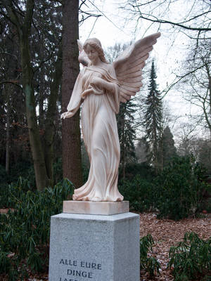 STOCK Angel statue by Inilein