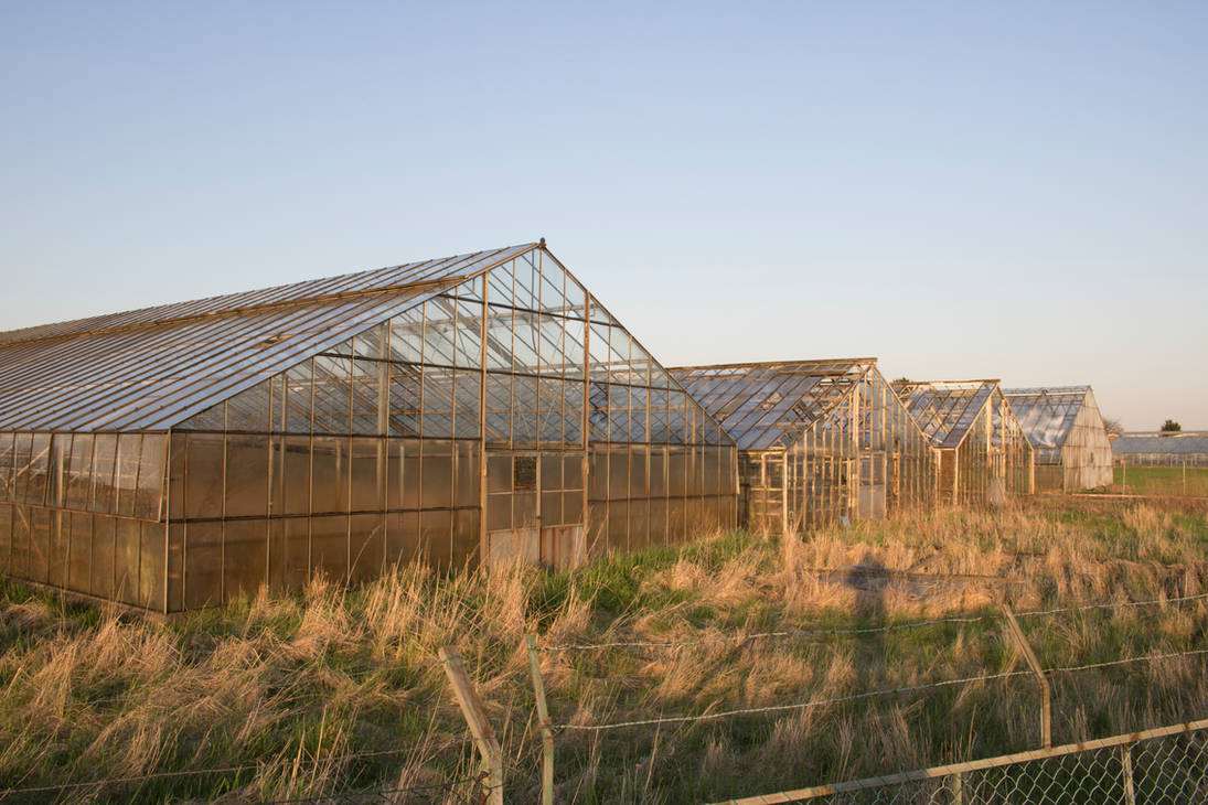 STOCK Glass Houses by Inilein