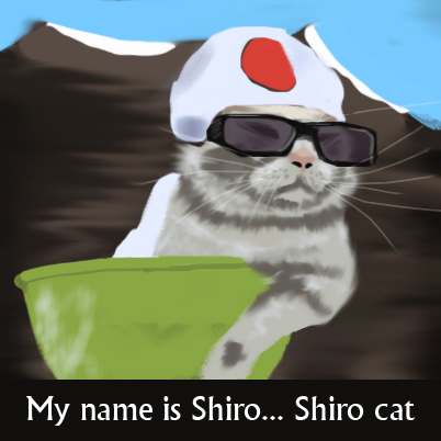 Shiro cat