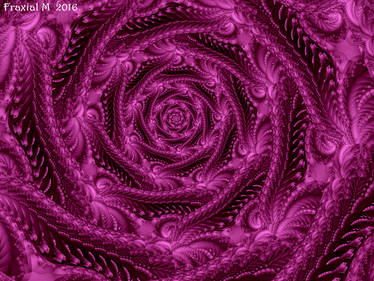 Purple Talis Spiral